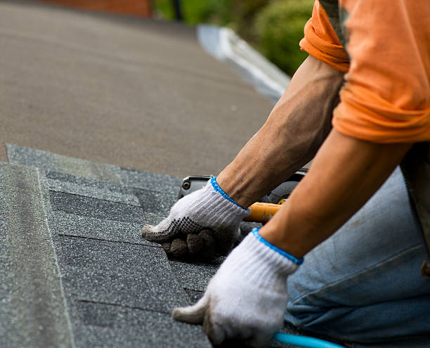 Professional Roofing Contractor in Ozark, MO